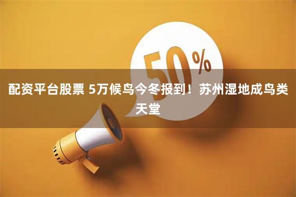 配资平台股票 5万候鸟今冬报到!苏州湿地成鸟类天堂